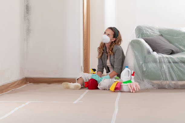 Reliable Basement Mold Removal contractor in Winfield, IL by WQB Mold Removal